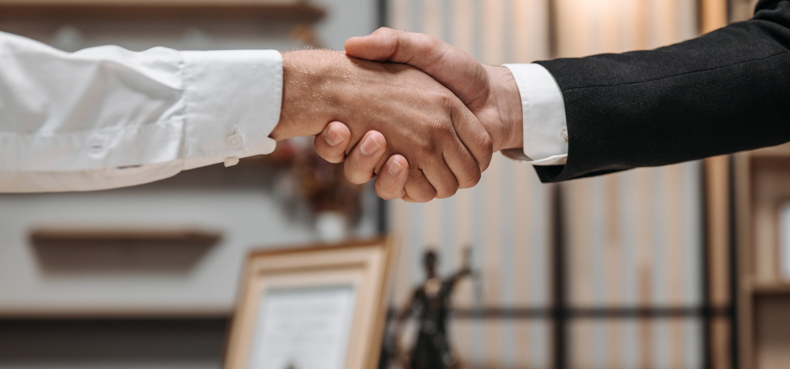 Italian Public Notaries in Property Transactions